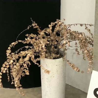 馆陶FurryQQ群介绍